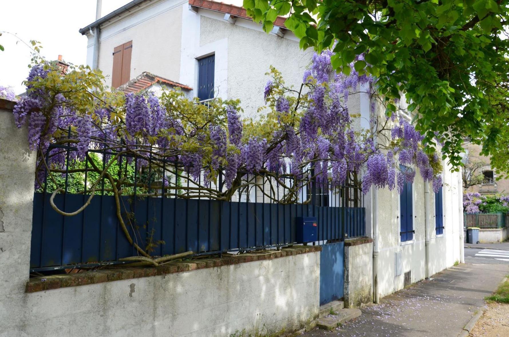 Bleautiful "Eugenie" Charmante Maison De Ville Φονταινεμπλώ Εξωτερικό φωτογραφία